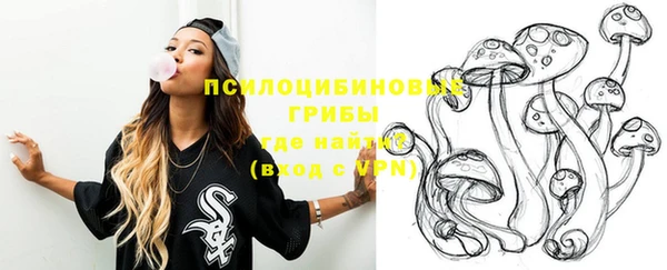 шишки Абдулино