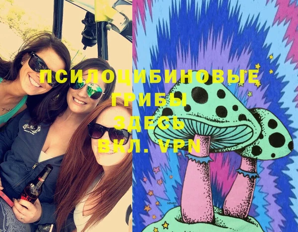 шишки Абдулино