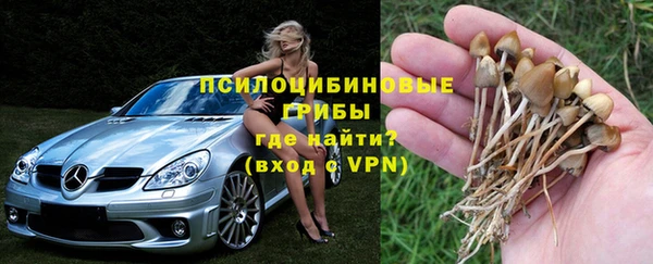 шишки Абдулино