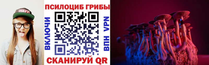 даркнет сайт  Шилка  Псилоцибиновые грибы мицелий 