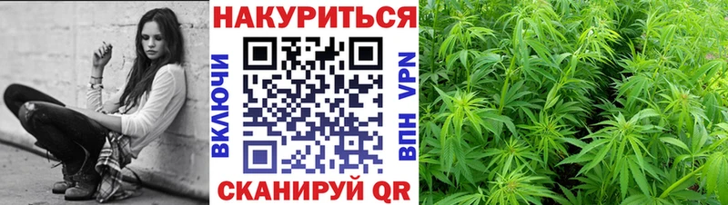 darknet телеграм  Шилка  Марихуана индика 